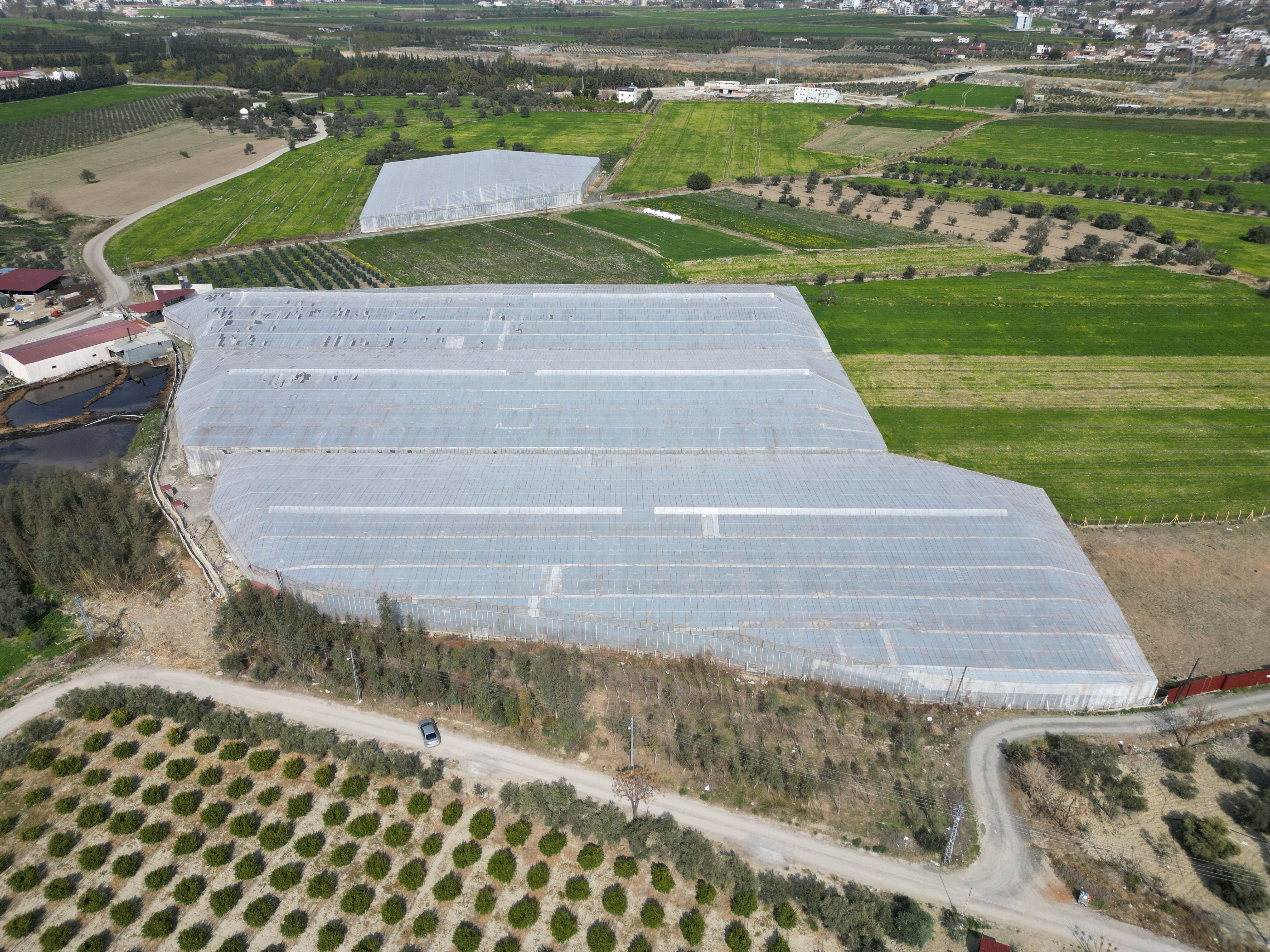 Zirai don vurdu, fiyatı uçacak! Tarlada kilosu 45 TL Zirai don vurdu, fiyatı uçacak! Tarlada kilosu 45 TL - 1. Resim