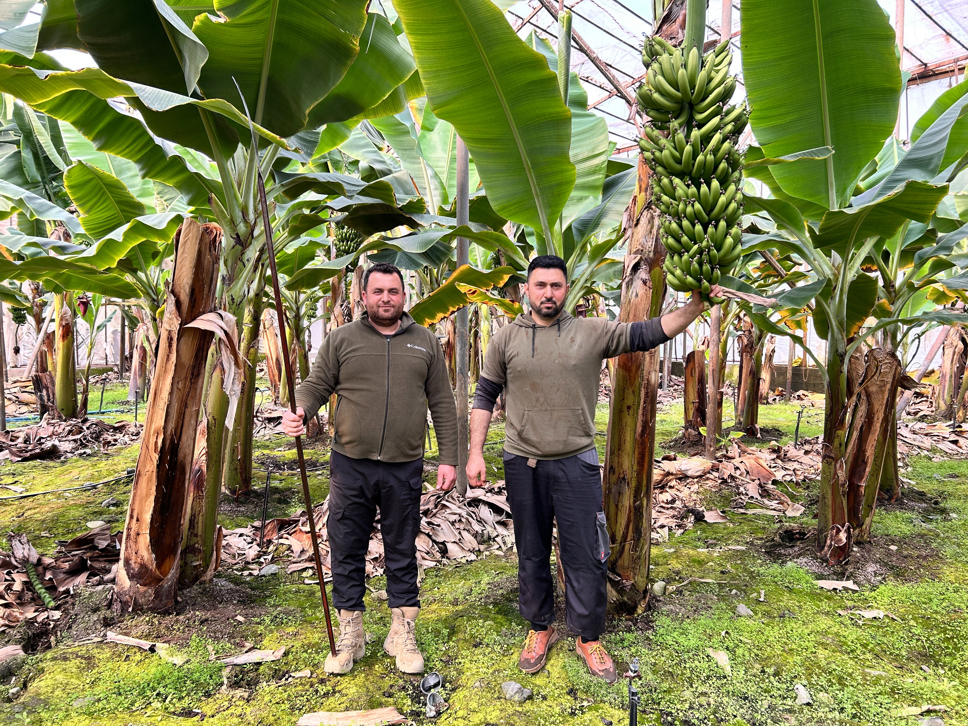 Zirai don vurdu, fiyatı uçacak! Tarlada kilosu 45 TL Zirai don vurdu, fiyatı uçacak! Tarlada kilosu 45 TL - 2. Resim