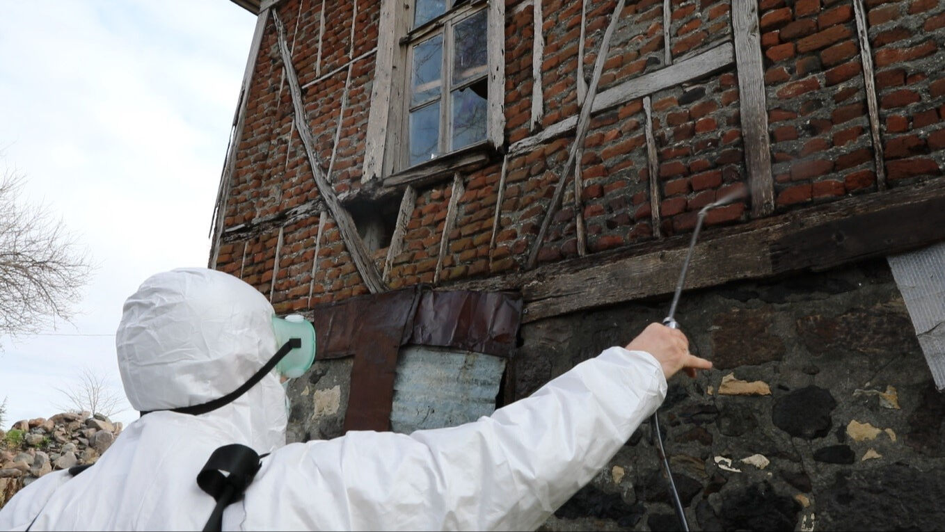 Kokarca paniği erken başladı! Kış uykusundan uyandı, her yeri sardı - 2. Resim