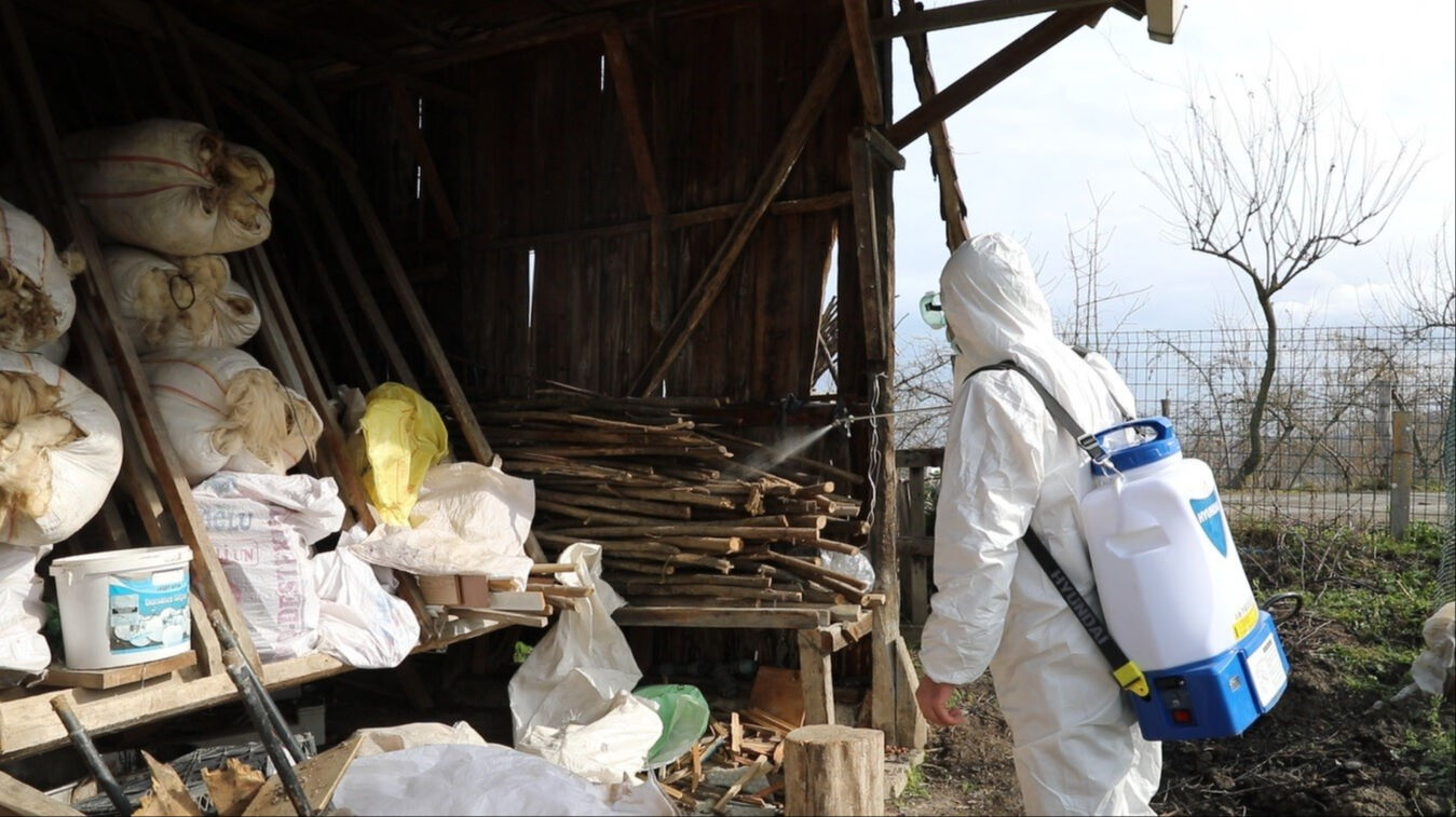 Kokarca paniği erken başladı! Kış uykusundan uyandı, her yeri sardı - 4. Resim