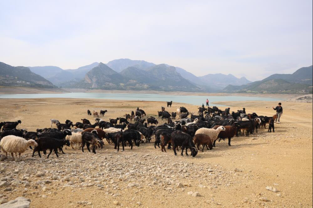 Korkutan görüntü! Su kilometrelerce çekildi... "Ot bile yok" Korkutan görüntü! Su kilometrelerce çekildi... "Ot bile yok" - 2. Resim