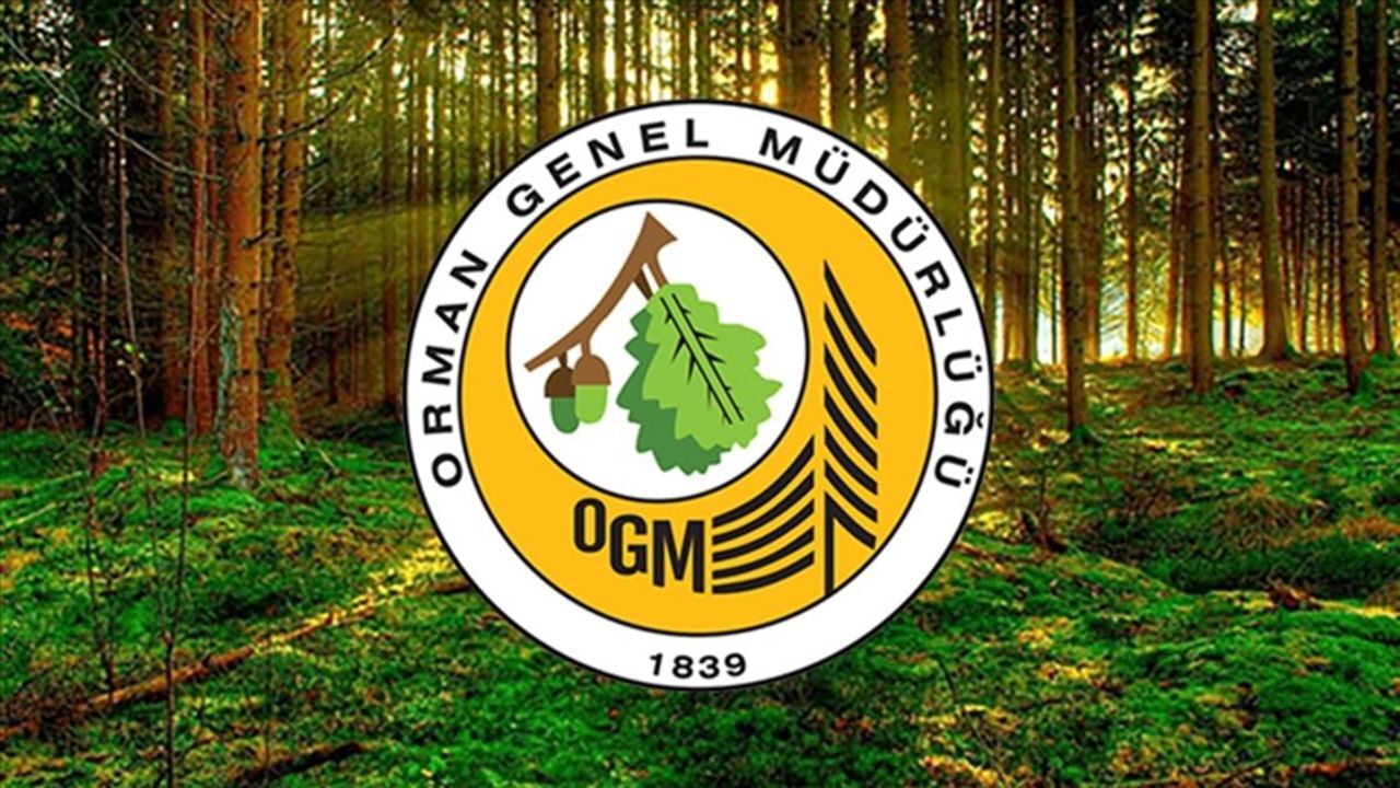 OGM işçi alım kurası ne zaman çekilecek, belli oldu mu? 2025 Orman Genel Müdürlüğü işçi alımı kura takvimi