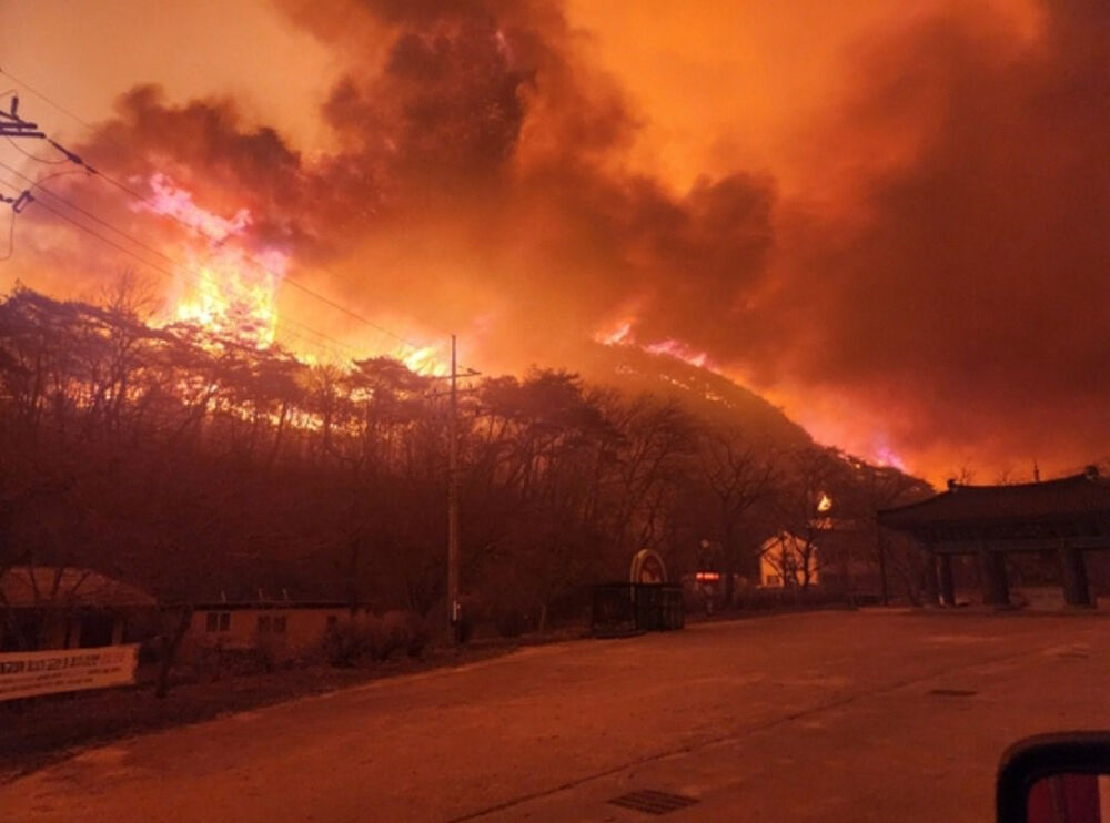 Güney Kore'de felaket sürüyor! Binlerce insan tahliye edildi, can kaybı artıyor... Güney Kore'de felaket sürüyor! Binlerce insan tahliye edildi, can kaybı artıyor... - 1. Resim