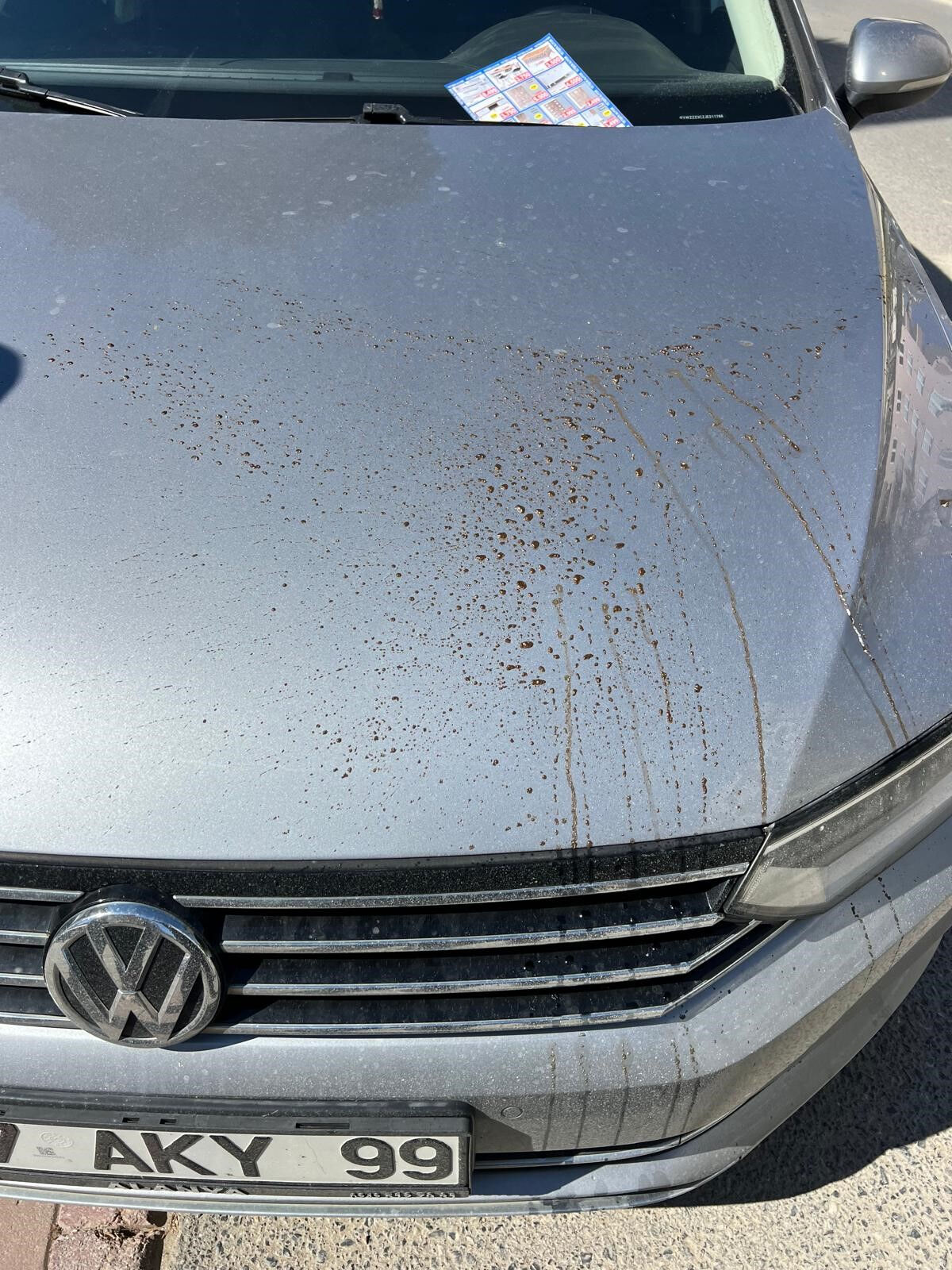 Otomobile asit döküp kaçmışlardı! Şüpheliler yakalandı - 2. Resim