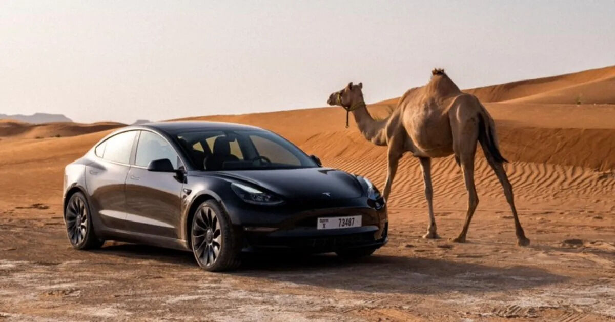 Satışları Düşen Tesla’nın umudu Suudi Arabistan oldu! Satışları Düşen Tesla’nın umudu Suudi Arabistan oldu! - 1. Resim