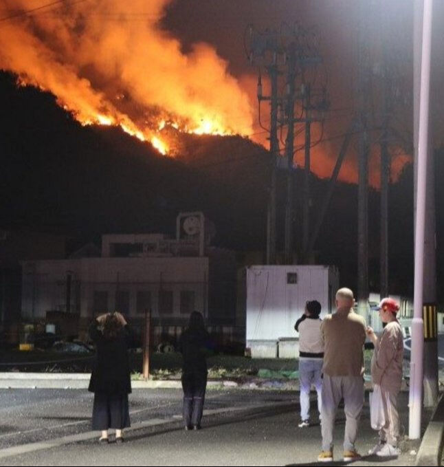Ülke felaketi yaşıyor! Günlerdir süren orman yangınları 1 eyalete daha sıçradı - 1. Resim