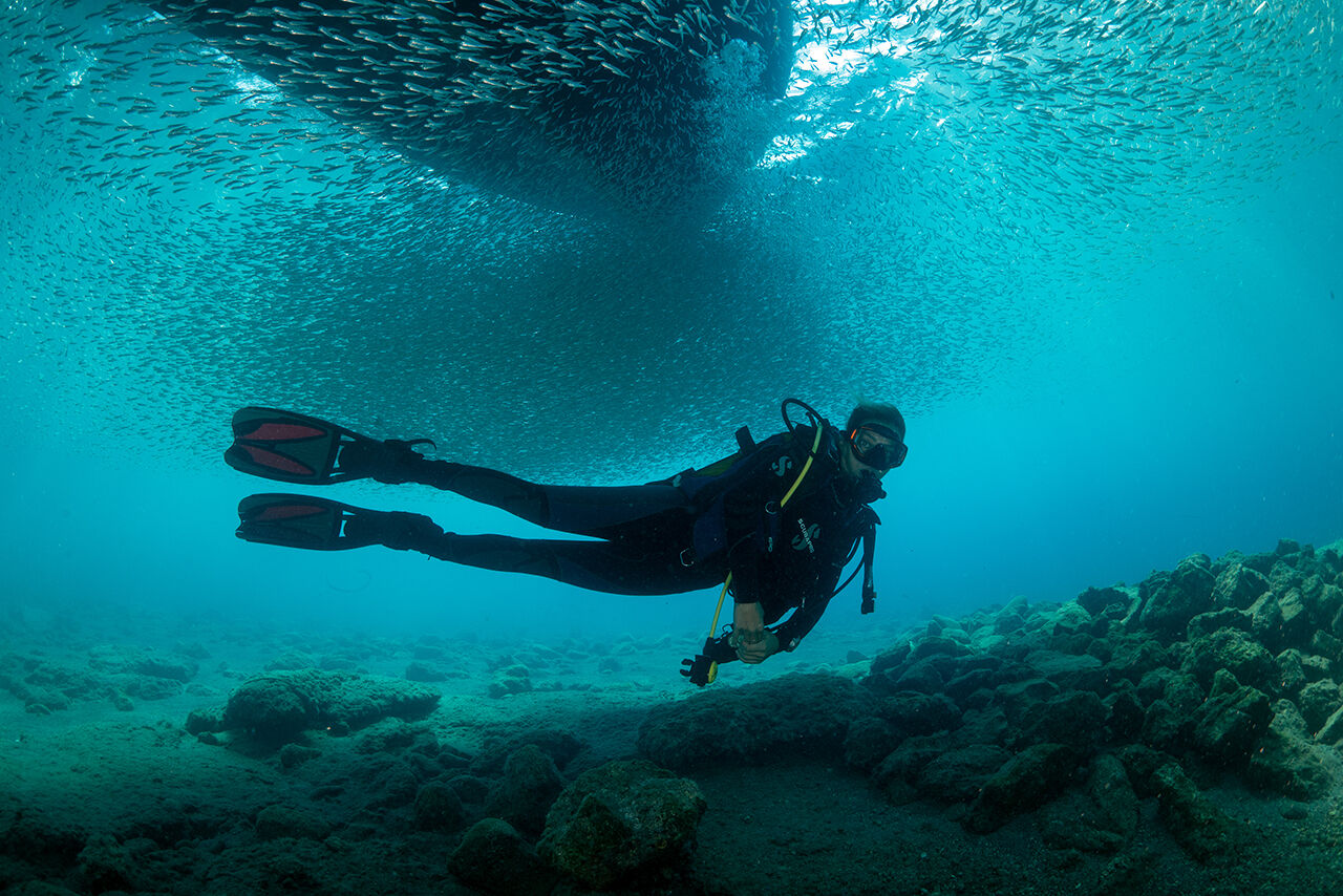 Ege'nin en temiz koyu... Tatilde gezilecek yerlerin başında geliyor! Aşı Koyu fotoğrafları hayran bıraktı - 5. Resim