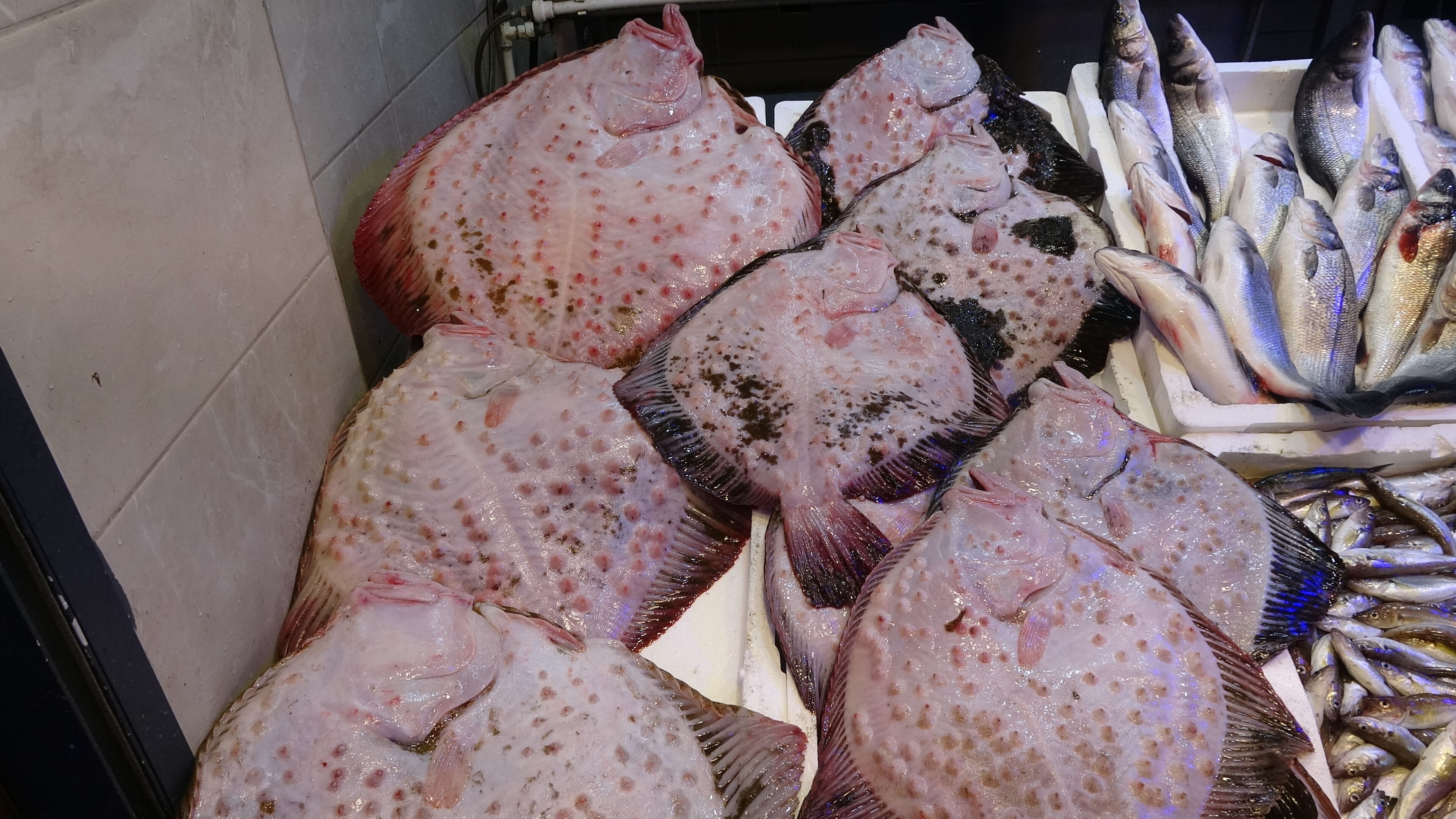 40 yıldır ikisi bir arada görülmüyordu! Fiyatı 1.500 TL'den 500 TL'ye kadar düştü - 4. Resim