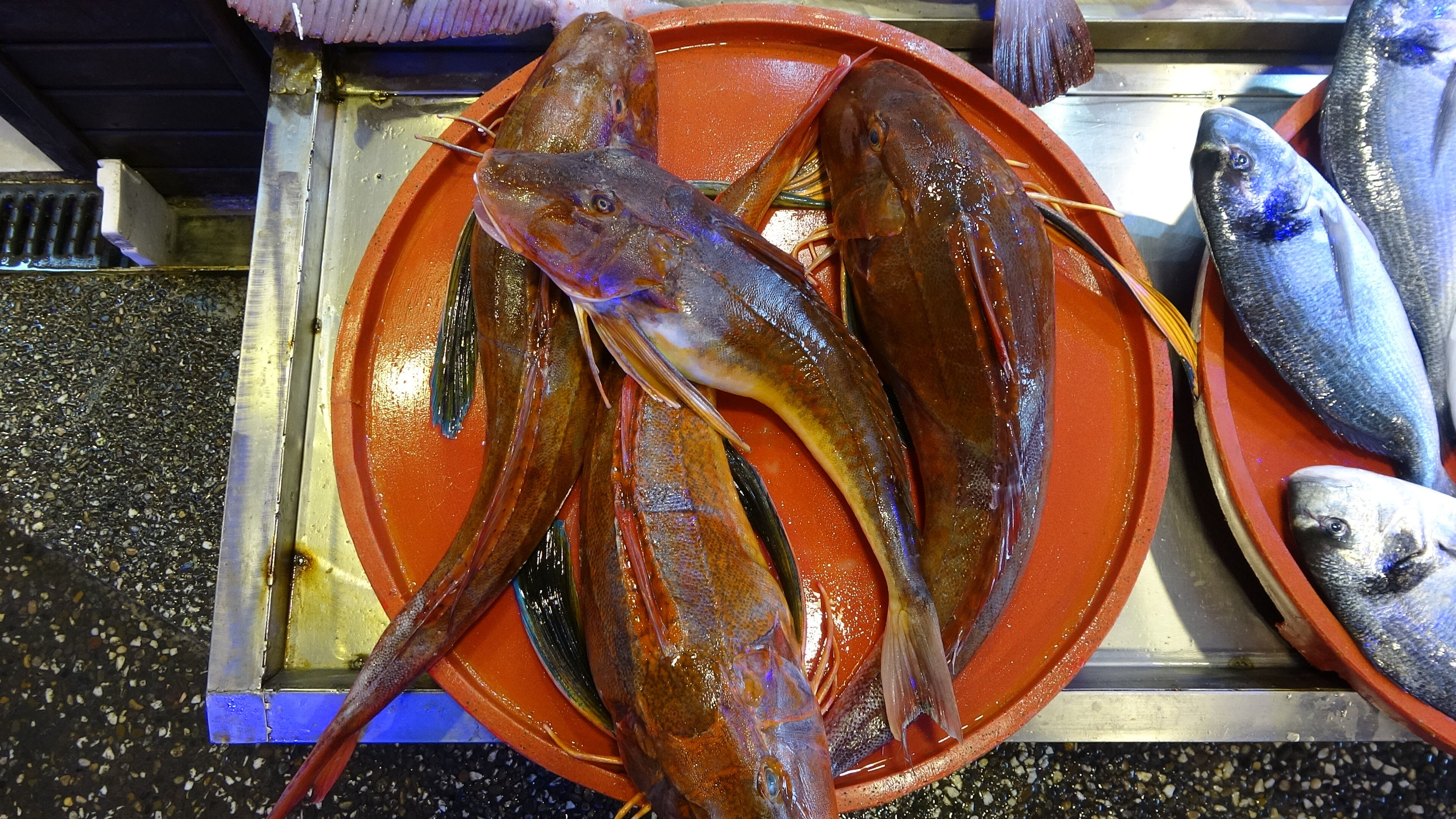 40 yıldır ikisi bir arada görülmüyordu! Fiyatı 1.500 TL'den 500 TL'ye kadar düştü - 2. Resim