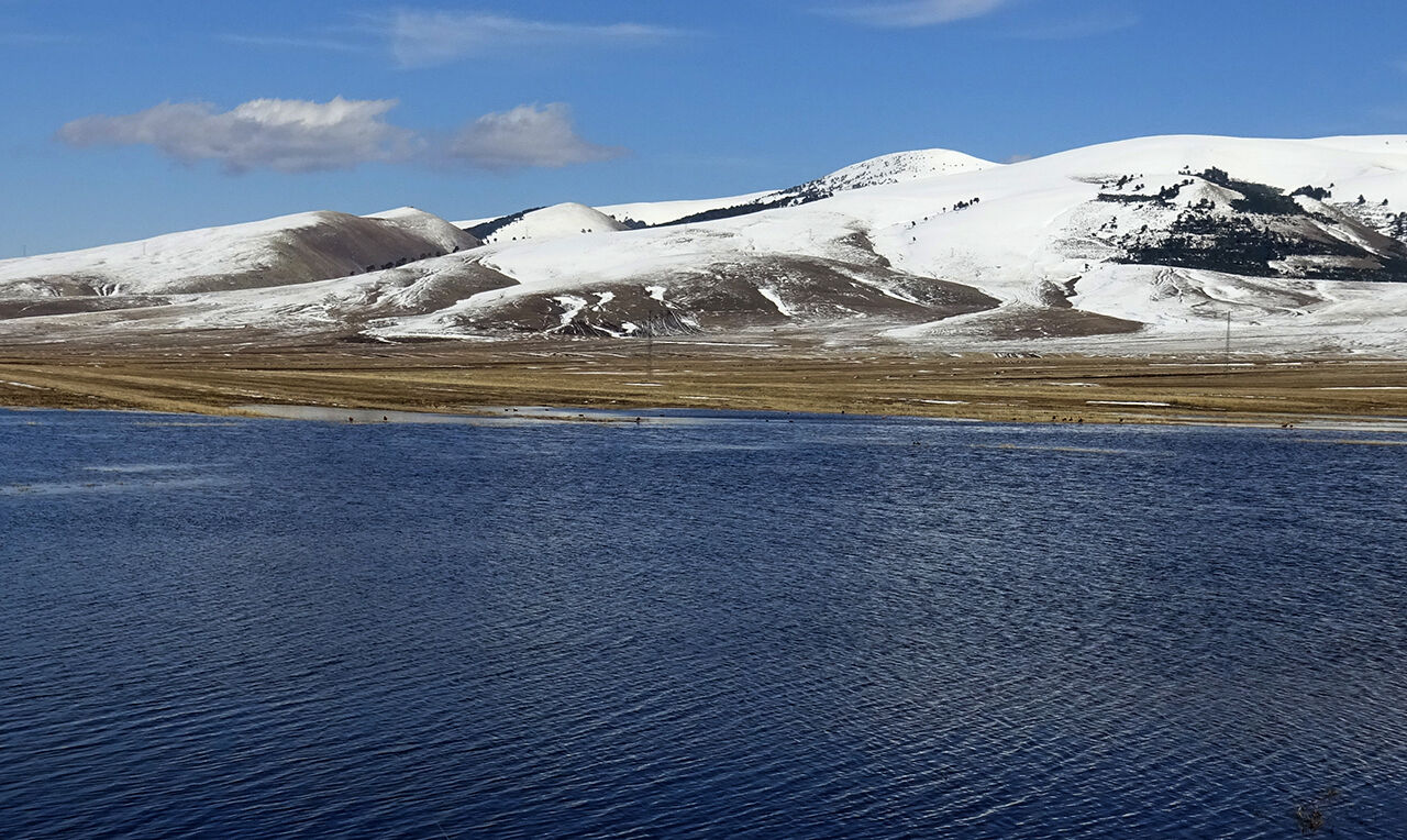 Baharın müjdecisinin görenler hayran oldu! Mor kardelen ve çiğdem çiçekleri açtı - 7. Resim