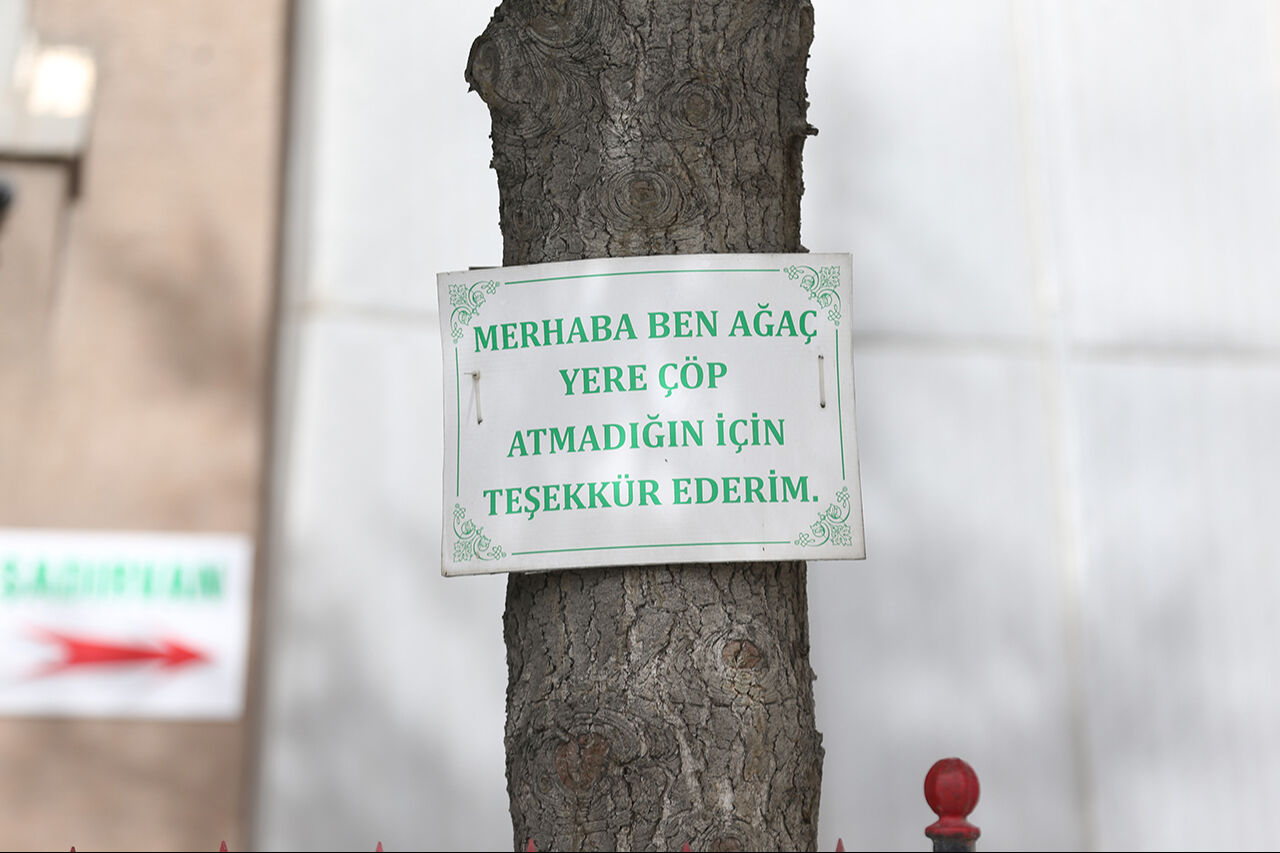 &Ccedil;evreci imamdan dikkat &ccedil;eken levhalar! Cami bah&ccedil;esindeki ağa&ccedil;larla ders verdi - 1. Resim