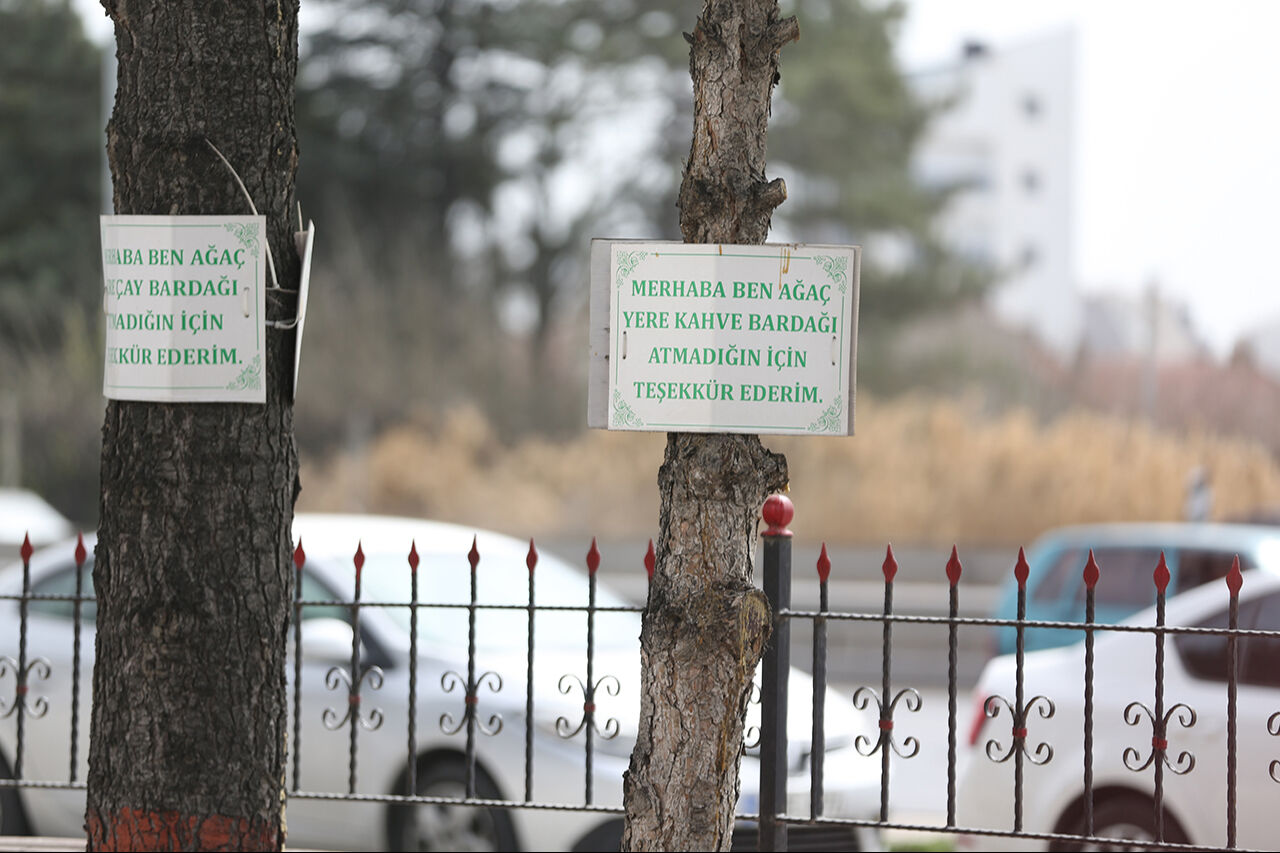 &Ccedil;evreci imamdan dikkat &ccedil;eken levhalar! Cami bah&ccedil;esindeki ağa&ccedil;larla ders verdi - 2. Resim