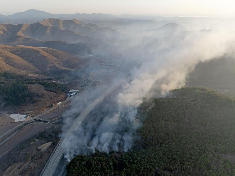 Kabus bitmedi! Ülkeyi sarsan orman yangınları yeniden alevlendi - 2. Resim