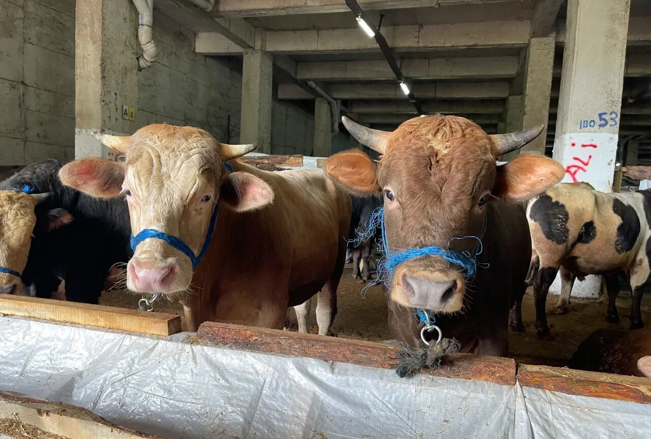 Kurban Bayramı ne zaman, kaç gün tatil olacak? 2025 Kurban Bayramı tatili gündemde! - 3. Resim