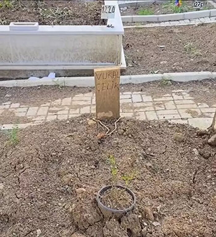 Vural Çelik'in mezarının görüntüsünü görenler gözlerine inanamadı! Sosyal medyayı ayağa kalktı: Tepkiler peş peşe geldi Vural Çelik'in mezarının görüntüsünü görenler gözlerine inanamadı! Sosyal medyayı ayağa kalktı: Tepkiler peş peşe geldi - 4. Resim