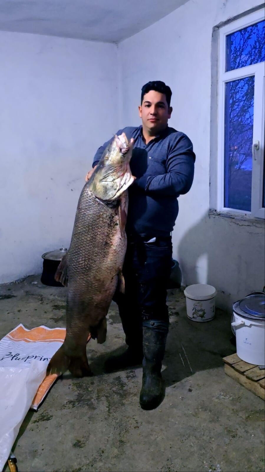 1.5 metre uzunluğunda, 60 kilo ağırlığında! Elazığlı vatandaş hayatının avını yaptı 1.5 metre uzunluğunda, 60 kilo ağırlığında! Elazığlı vatandaş hayatının avını yaptı - 1. Resim