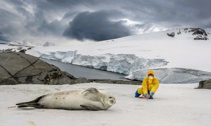 Her yer ısınırken orası soğuyor! Yeni araştırma gözler önüne serdi, bilim insanları şaşkın - 5. Resim