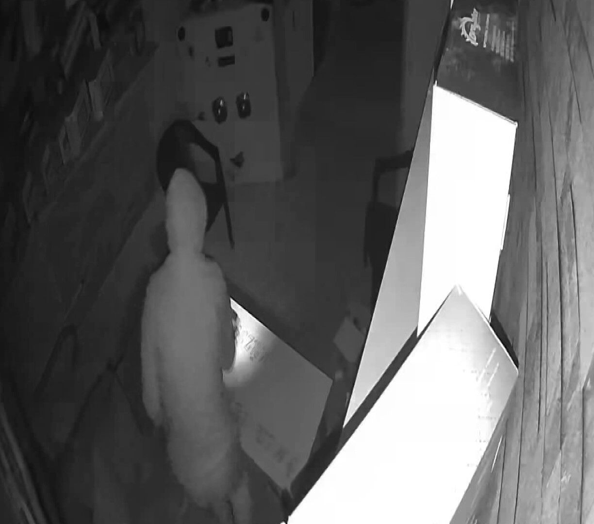 Kanıt sunuldu, inkar etti! 650 bin TL'lik vurgun sonrası azılı suçludan komik savunma - 1. Resim