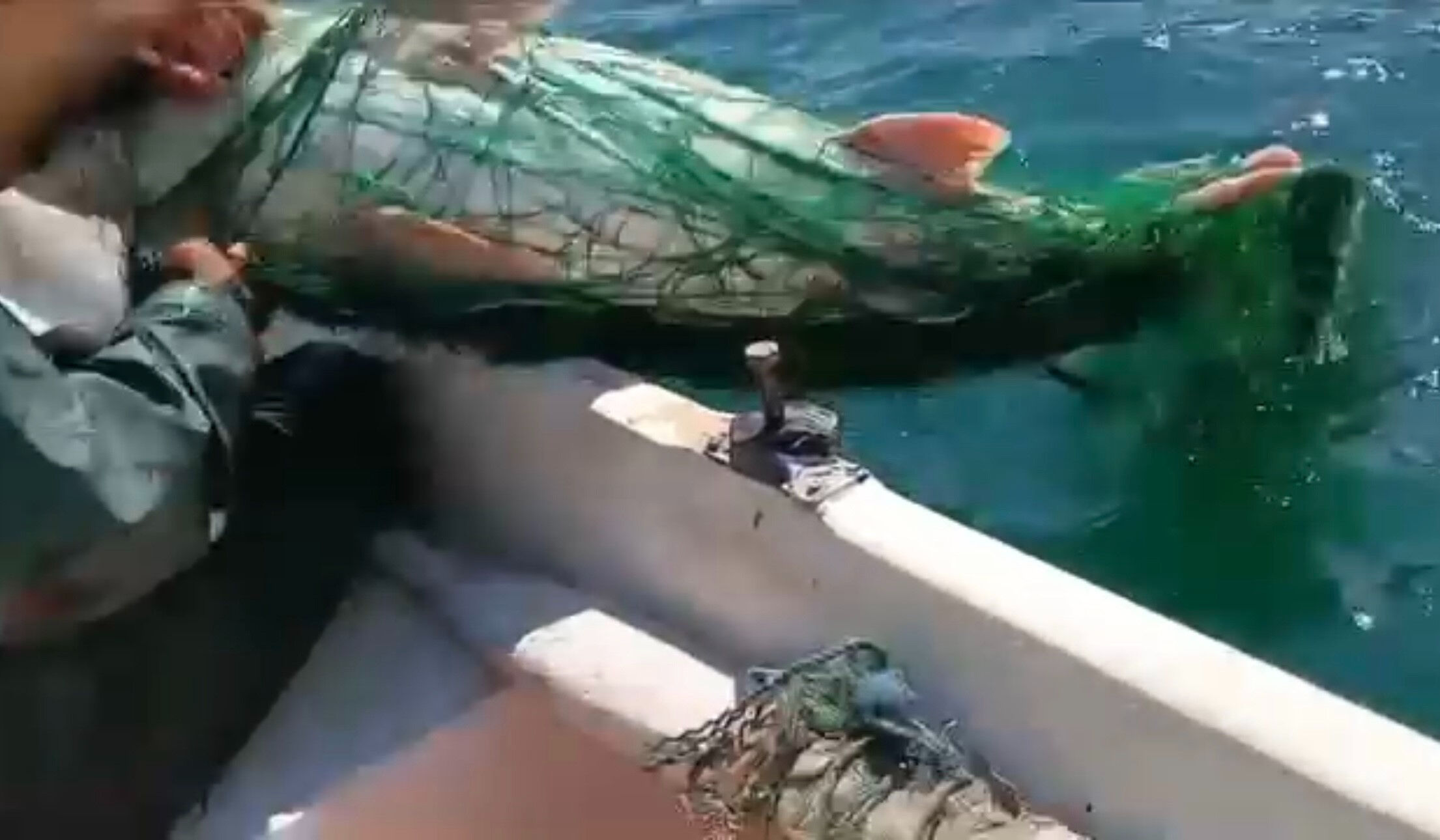 Biri 60, diğeri 72 kilo! İkisi de aynı yerde yakalandı - 1. Resim