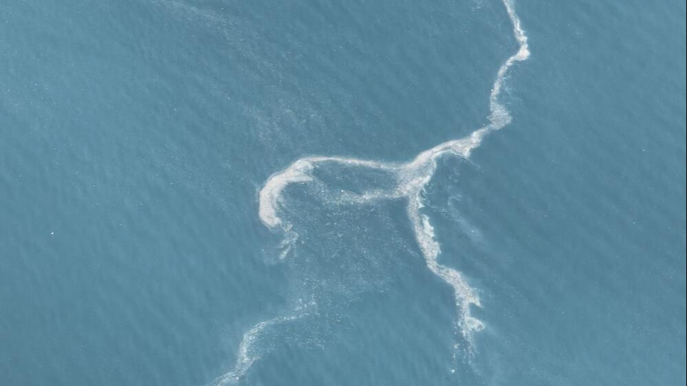 İstanbul'a kabus geri döndü! Müsilaj yeniden ortaya çıktı - 1. Resim