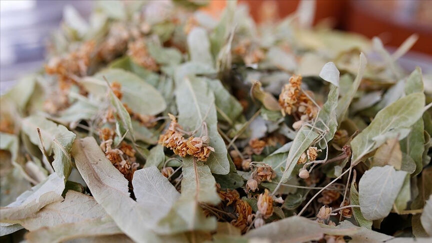 Kanserle mücadele edenler bunları tüketirken dikkat edin! Faydadan çok zarar getiriyor... - 1. Resim