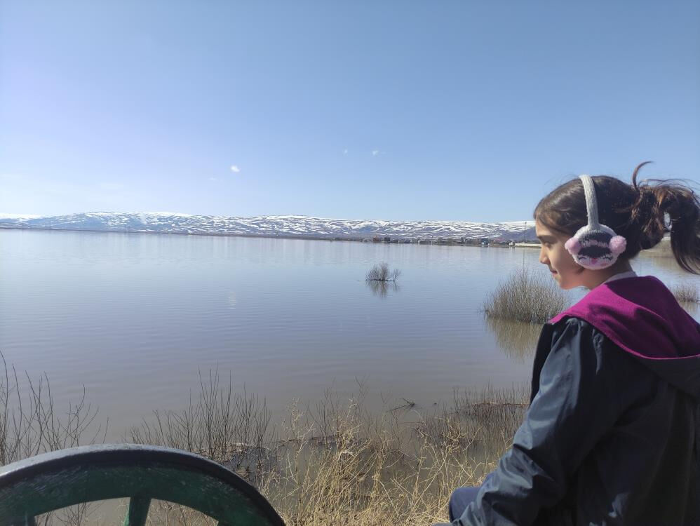 Karlar eridi, Kura Nehri taştı! Ardahan Ovası göle döndü Karlar eridi, Kura Nehri taştı! Ardahan Ovası göle döndü - 2. Resim