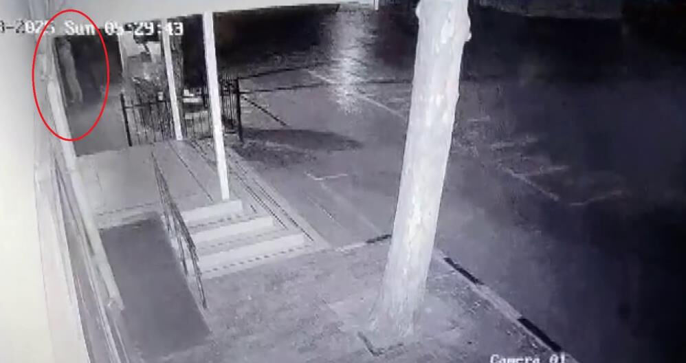 Okul bahçesinde akılalmaz olay! İşe gelen güvenlik görevlisi fark etti Okul bahçesinde akıl almaz olay! İşe gelen güvenlik görevlisi fark etti - 2. Resim