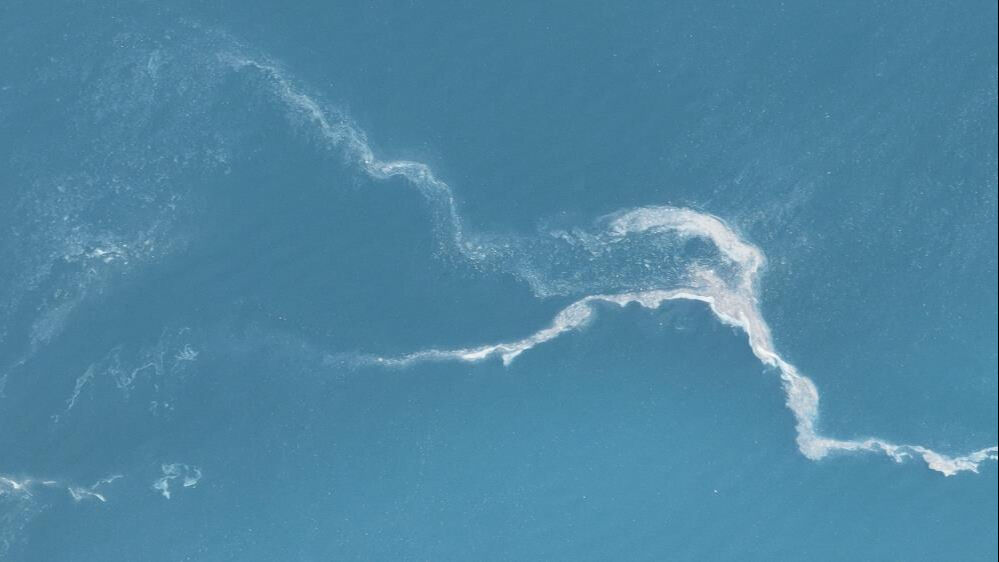 Endişelendiren görüntü! Kıyıya kadar geldi Endişelendiren görüntü! Kıyıya kadar geldi - 1. Resim