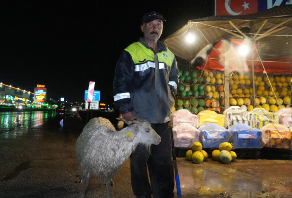 Kırıkkale'de esrarengiz olay! Havadan yayıldı, küçükbaşları telef etti - 3. Resim