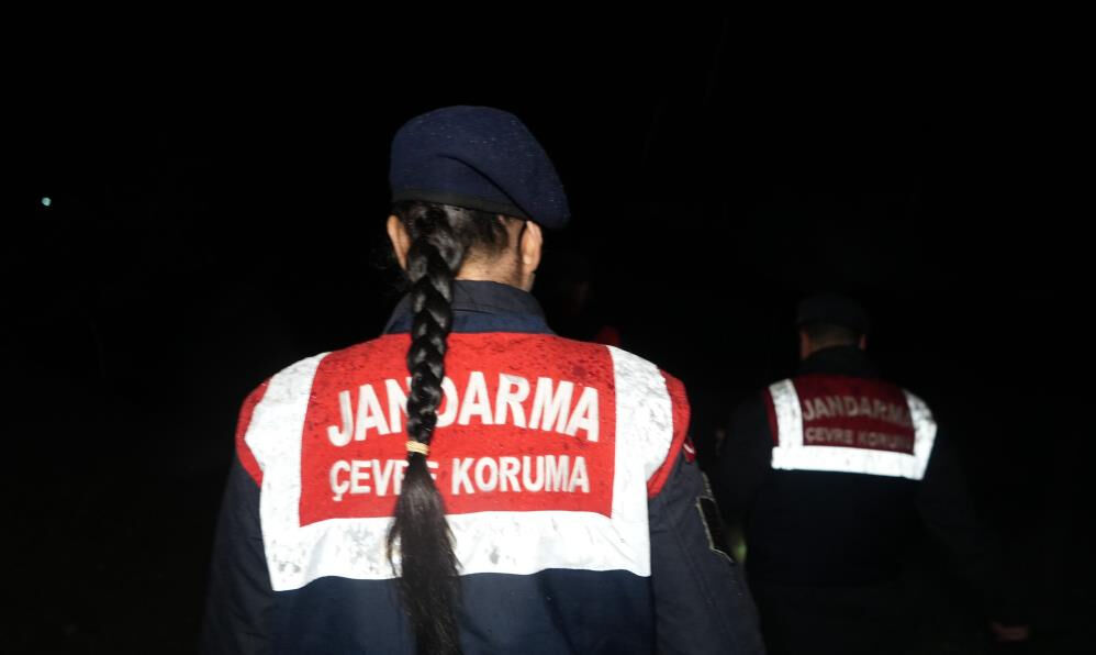 Kırıkkale'de esrarengiz olay! Havadan yayıldı, küçükbaşları telef etti - 2. Resim