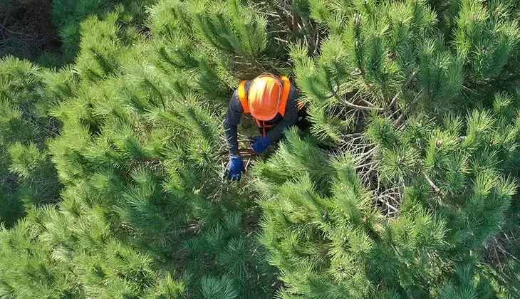 OGM işçi alımı kura sonuçları açıklandı mı? OGM 4.500 işçi alımı kura sonucu sorgulama ekranı OGM işçi alımı kura sonuçları açıklandı mı? OGM 4.500 işçi alımı kura sonucu sorgulama ekranı - 2. Resim