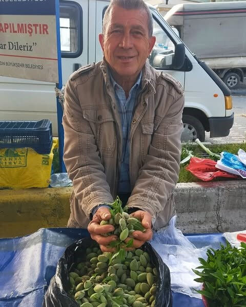 Baharın müjdecisi! Kilosu 250 liradan tezgahlarda yerini aldı - 2. Resim