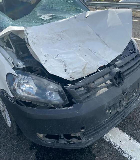 İneğe çarpan otomobilin sürücüsü hayatını kaybetti - 1. Resim