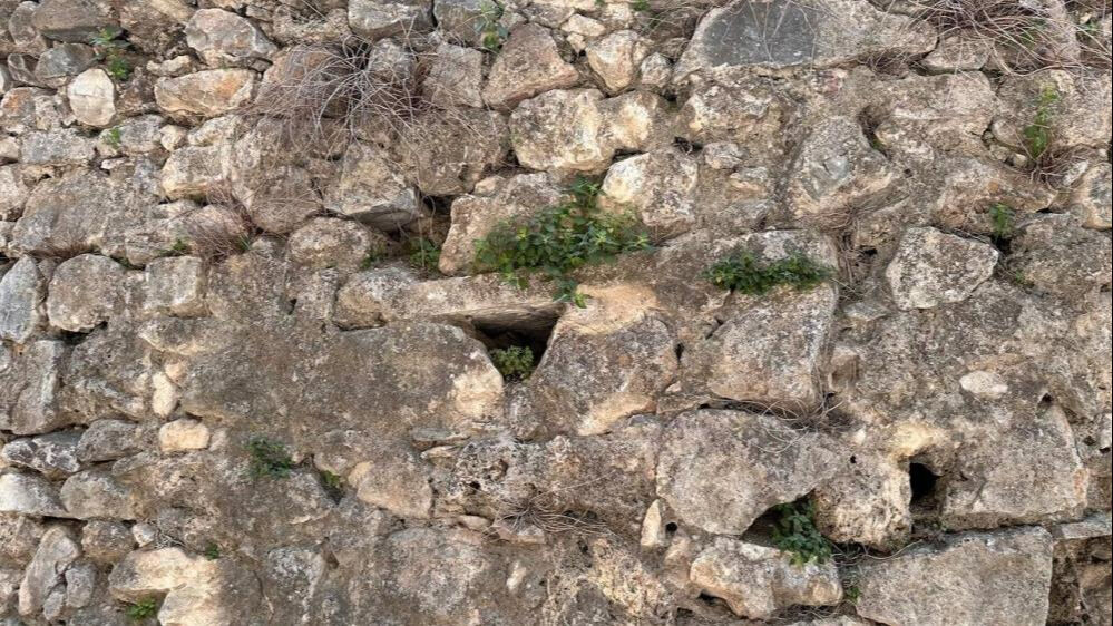 Heyecanlandıran keşif! Bursa'da gezen turistler fark etti... - 2. Resim