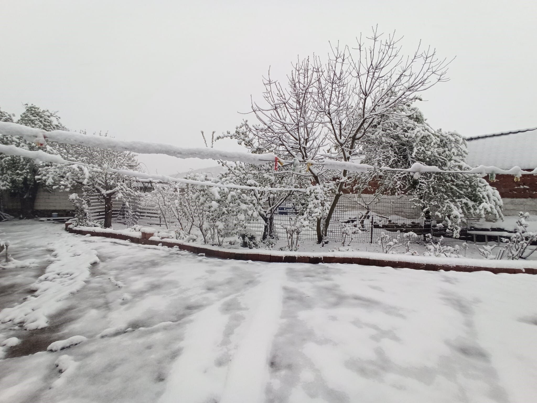 Herkes o günü bekliyordu: Orhan Şen tarih verdi! Bahar geliyor - 5. Resim