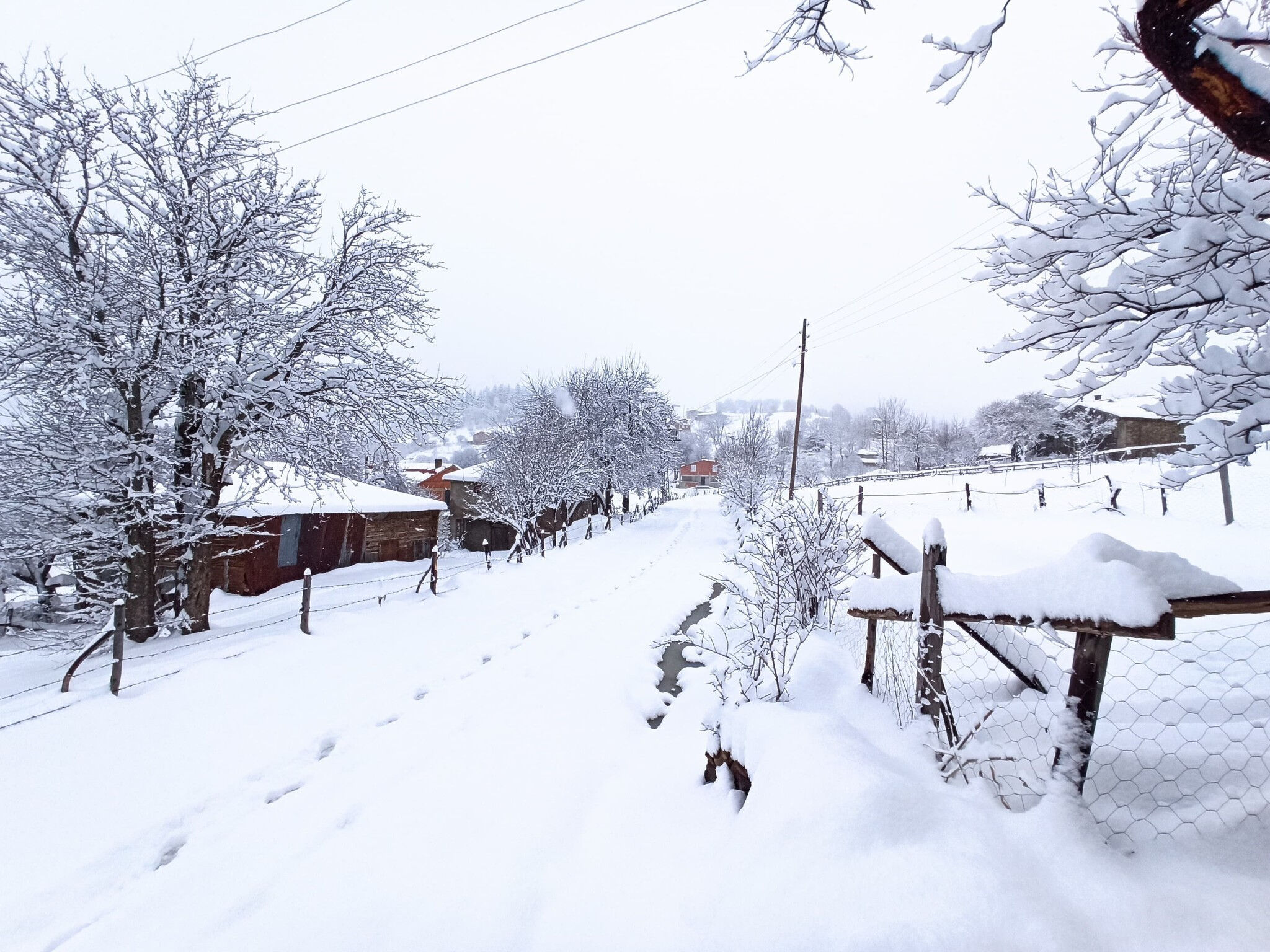 Herkes o günü bekliyordu: Orhan Şen tarih verdi! Bahar geliyor - 4. Resim