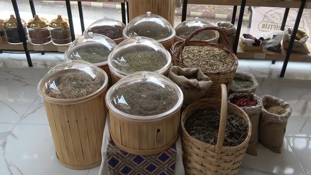 Memleketine dönüp çocukluk hayali olan işi kurdu! Şimdi paraya para demiyor Memleketine dönüp çocukluk hayali olan işi kurdu! Şimdi paraya para demiyor - 4. Resim