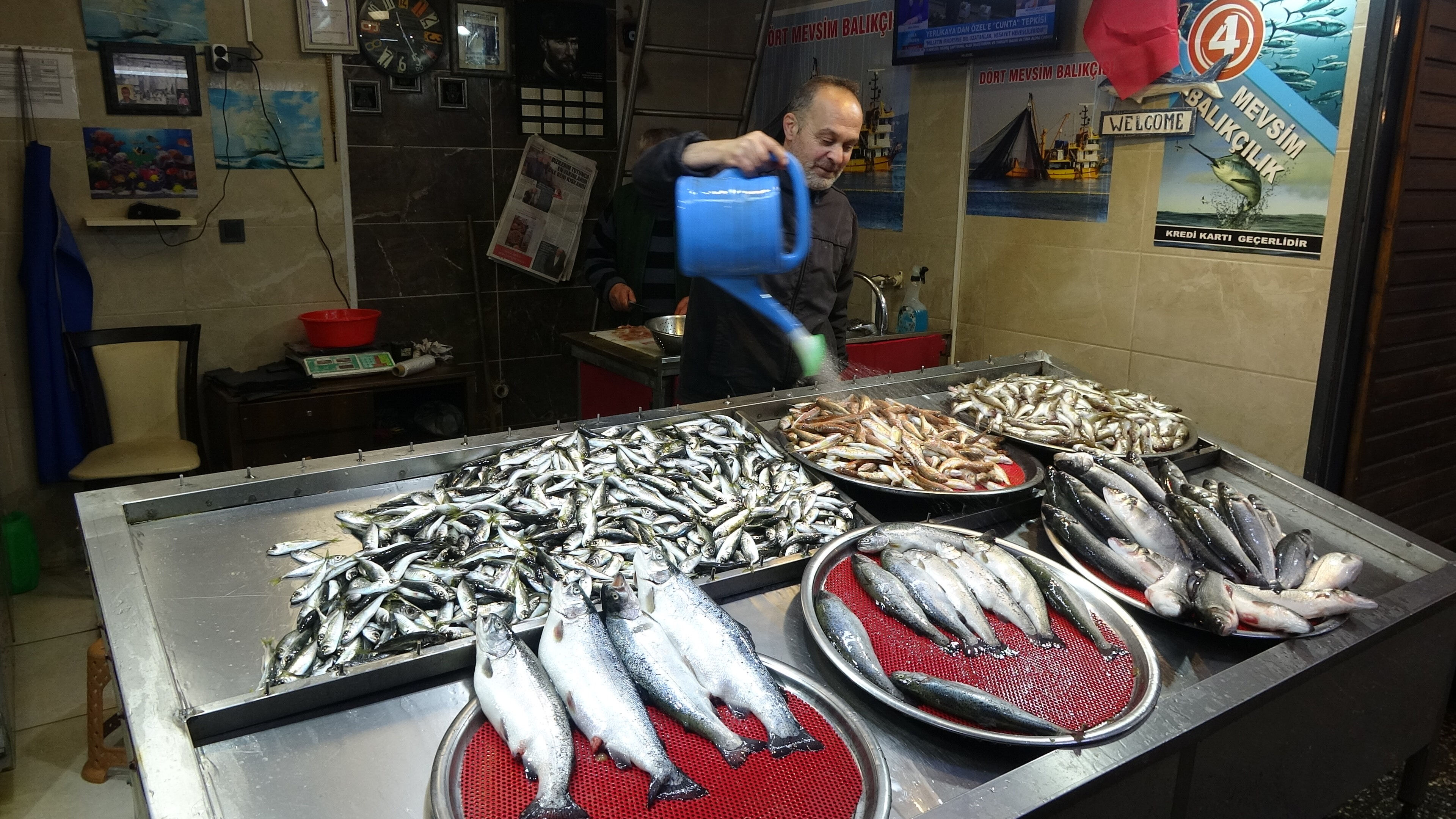 Tezgahların en bol ve en ucuz balıkları! Fiyat 100-150 lira arasında değişiyor Tezgahların en bol ve en ucuz balıkları! Fiyat 100-150 lira arasında değişiyor - 1. Resim