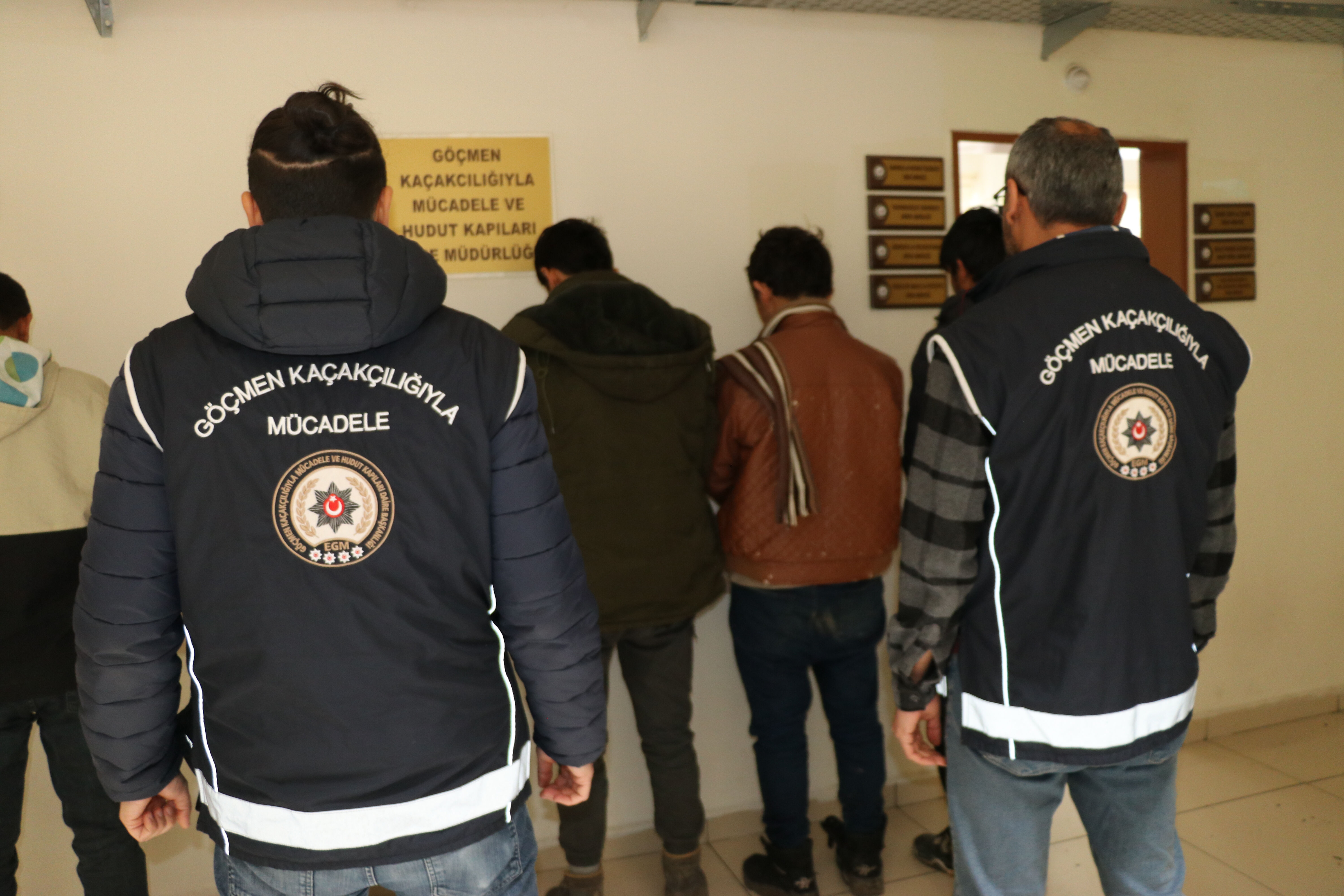 Amasya'da canlı hayvan taşınan tırlardan çıkan şaşkına çevirdi Amasya'da canlı hayvan taşınan tırlardan çıkan şaşkına çevirdi - 1. Resim