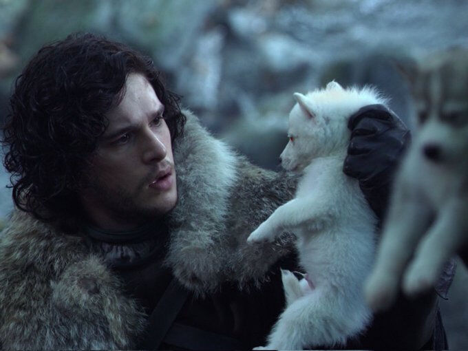 Game of Thrones’un korkunç kurtları klonlandı! 12.500 yıl sonra geri döndü Game of Thrones’un korkunç kurtları klonlandı! 12.500 yıl sonra geri döndü - 2. Resim