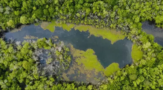 İklim kanunu nedir? İklim kanunu Türkiye'de var mı? - 2. Resim