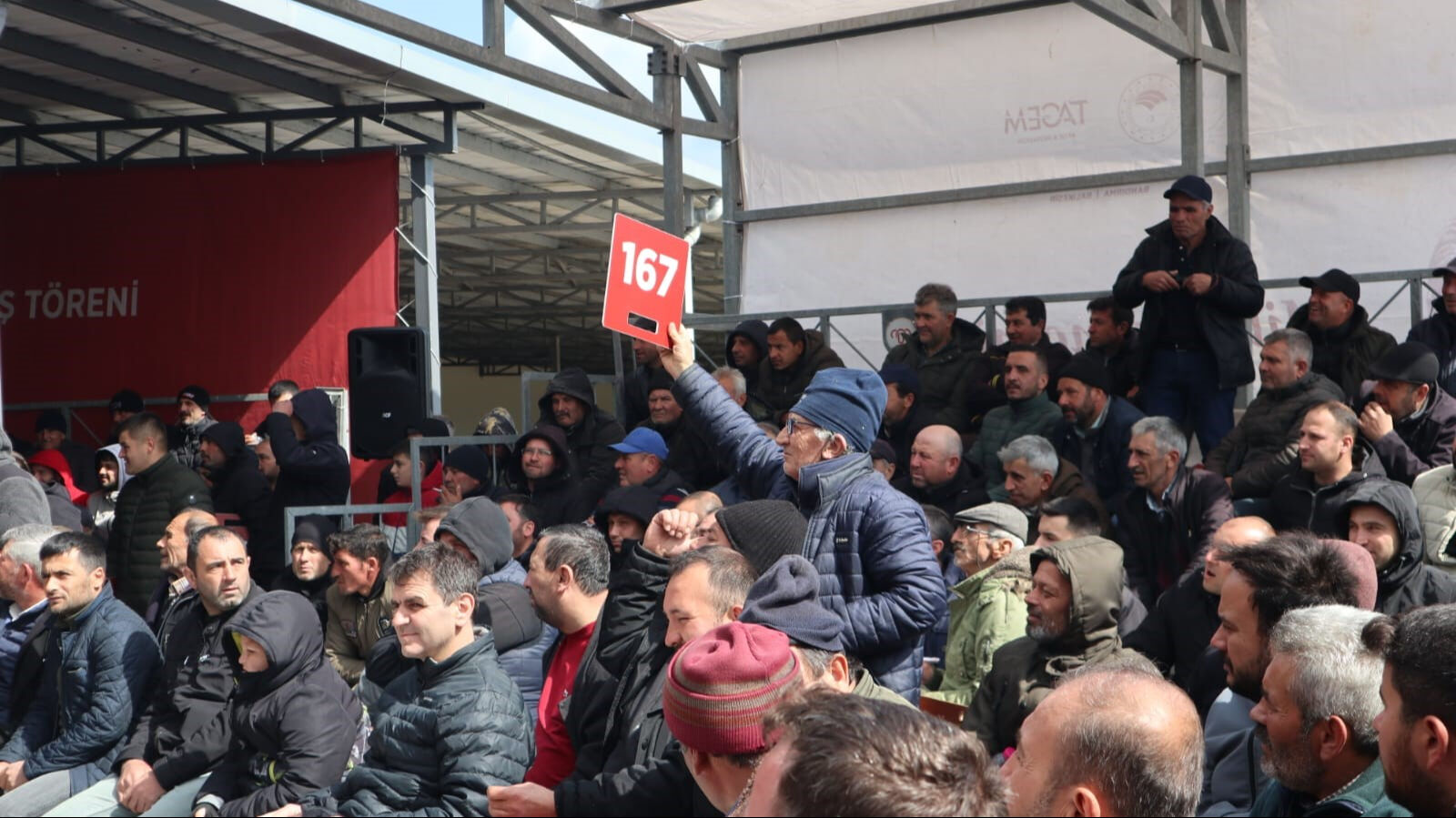 Damızlık koçun değeri dudak uçuklattı! Açık artırma ile rekor fiyata satıldı Bu koçun değeri dudak uçuklattı! Rekor fiyata satıldı - 3. Resim