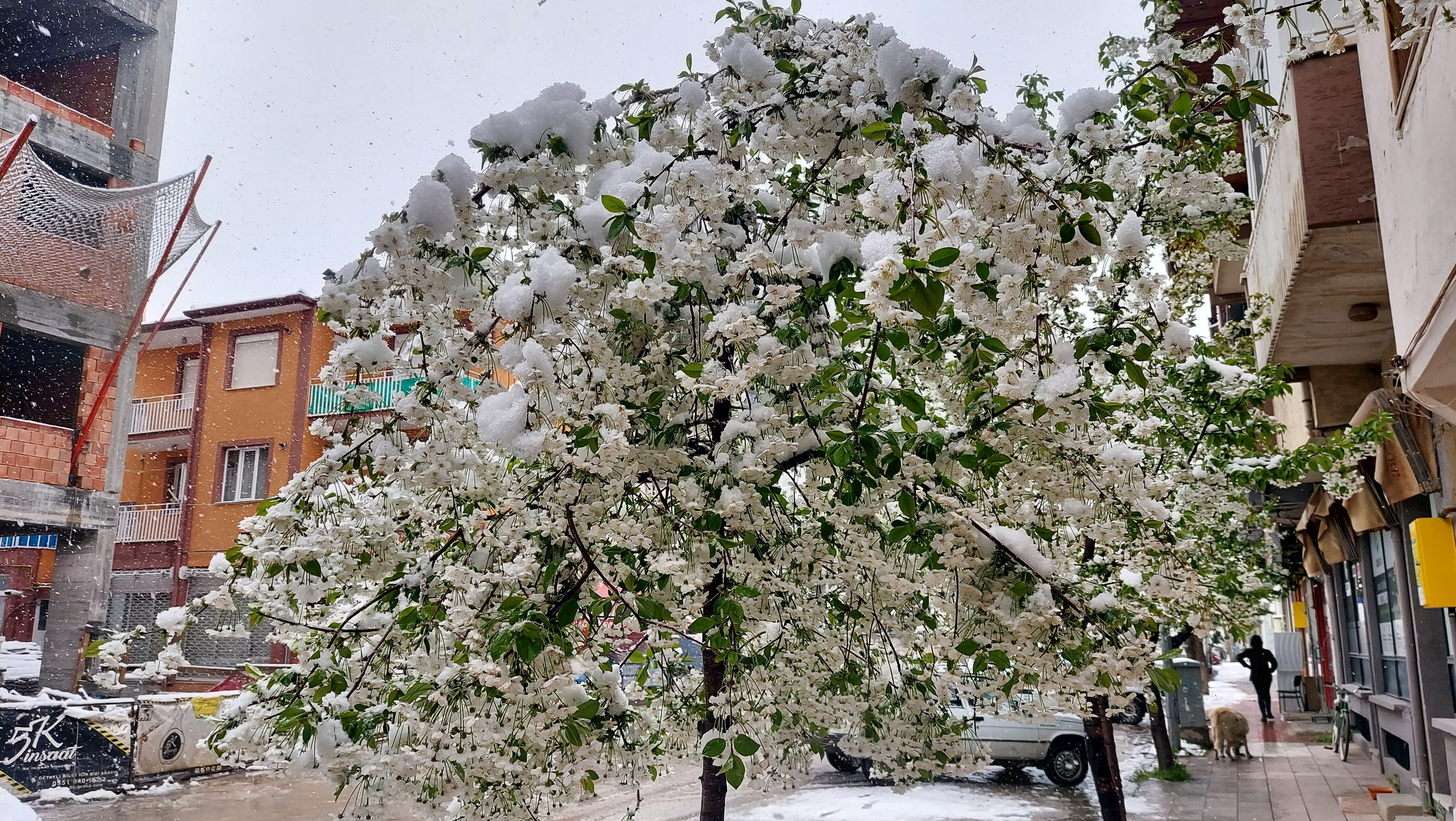 Çok sayıda il nisan ayında kar sürprizi yaşadı! Her yer bir anda beyaza büründü - 2. Resim