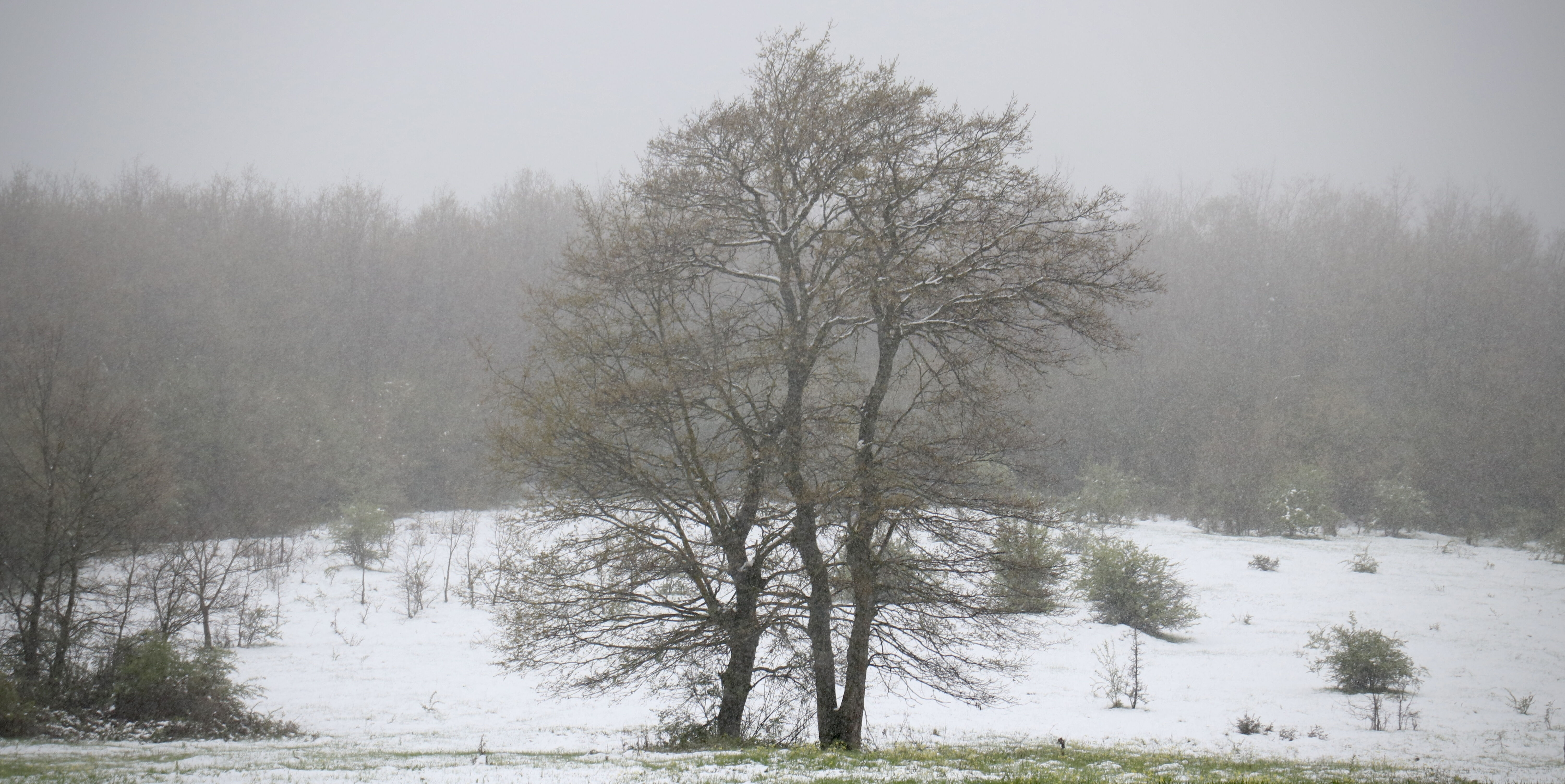 Çok sayıda il nisan ayında kar sürprizi yaşadı! Her yer bir anda beyaza büründü - 3. Resim