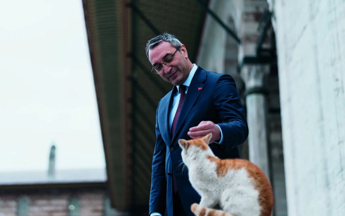 Mahir Polat ev hapsi cezası mı aldı, sağlık durumu nedir, serbest mi? İBB Genel Sekreter Yardımcısı Mahir Polat  için son dakika kararı - 2. Resim