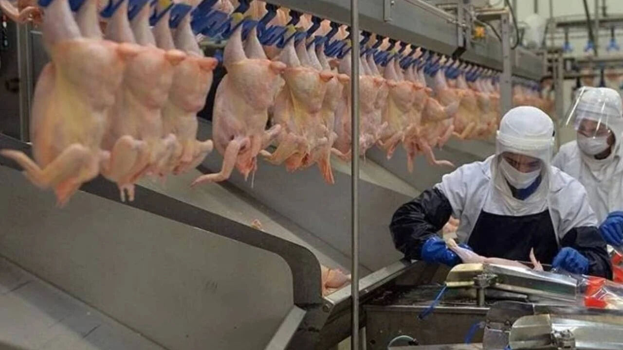 Bakanlık açıkladı! Şenpiliç annemin köftesi piliç kasap köfte içinde ne tespit edildi? L Monocytogenes bakterisi zararı nedir? - 2. Resim