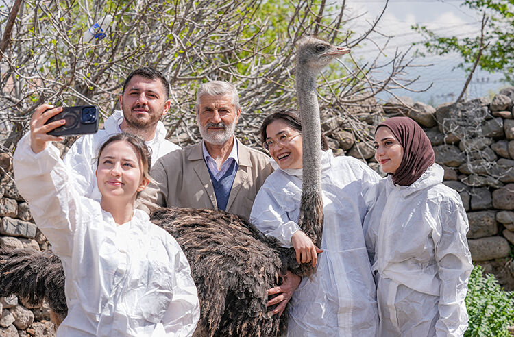 Böylesi ne görüldü ne duyuldu! Yalnızlıktan strese girdi, iştahı kesildi - 1. Resim