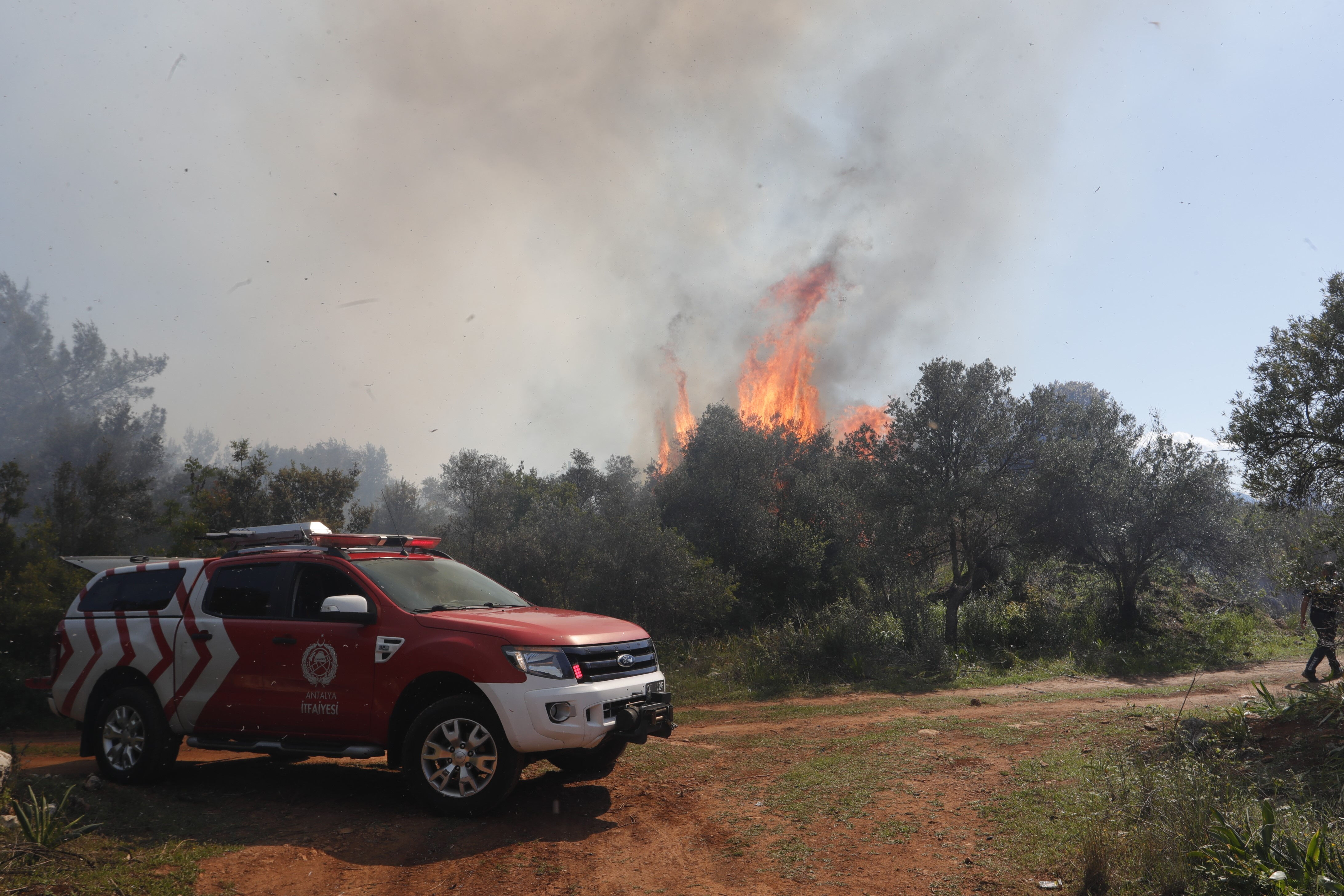 Antalya'nın oksijen deposu Zeytinpark'ta 2 saatlik dehşet! 6 bin metrelik duvar da engel olamadı Antalya'nın oksijen deposu Zeytinpark'ta 2 saatlik dehşet! 6 bin metrelik duvar da engel olamadı - 3. Resim