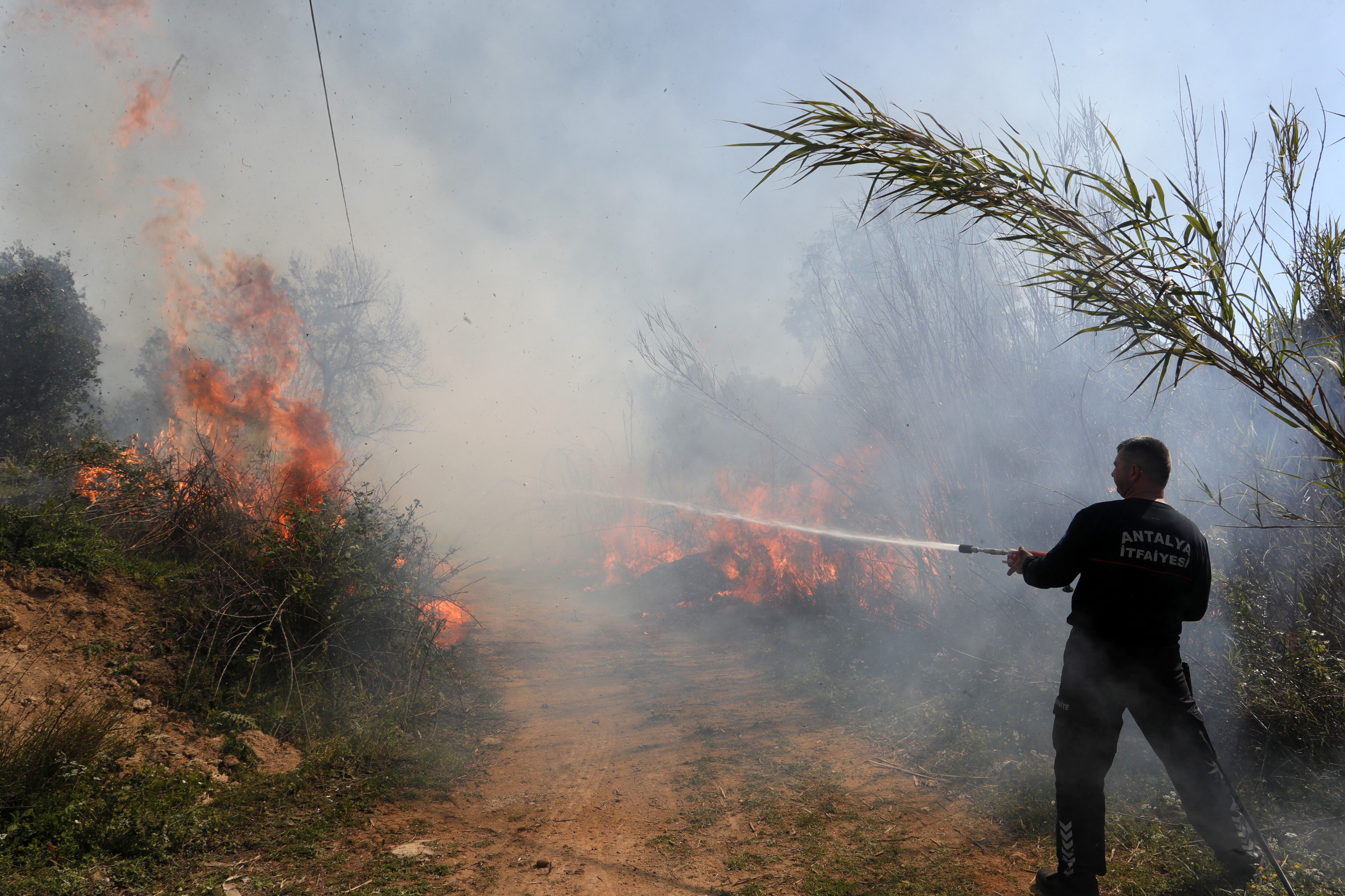 Antalya'nın oksijen deposu Zeytinpark'ta 2 saatlik dehşet! 6 bin metrelik duvar da engel olamadı Antalya'nın oksijen deposu Zeytinpark'ta 2 saatlik dehşet! 6 bin metrelik duvar da engel olamadı - 2. Resim