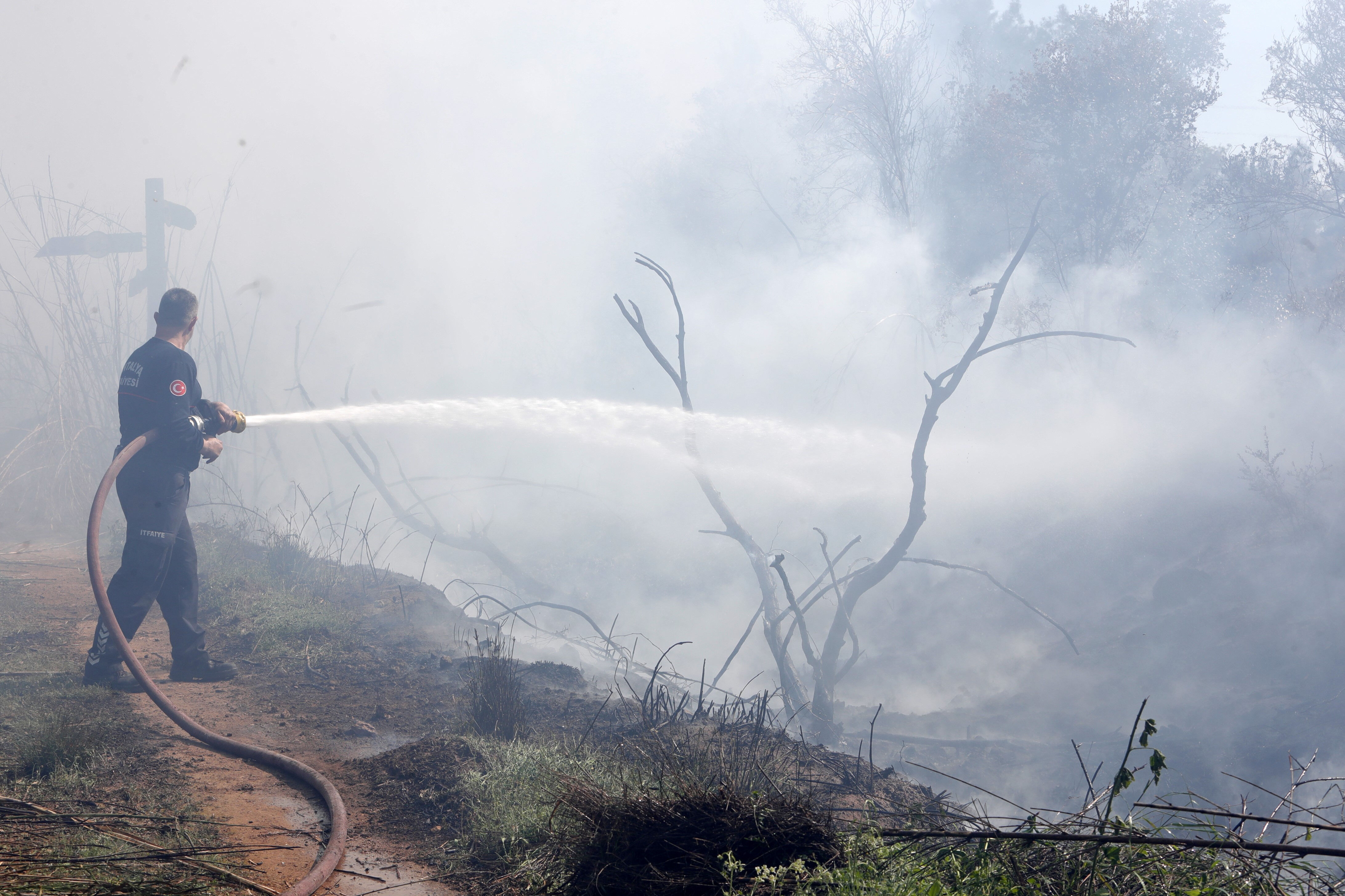 Antalya'nın oksijen deposu Zeytinpark'ta 2 saatlik dehşet! 6 bin metrelik duvar da engel olamadı Antalya'nın oksijen deposu Zeytinpark'ta 2 saatlik dehşet! 6 bin metrelik duvar da engel olamadı - 1. Resim